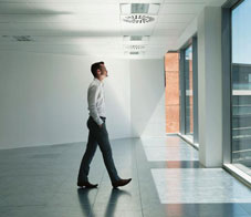 stroll-through-office-main-NL