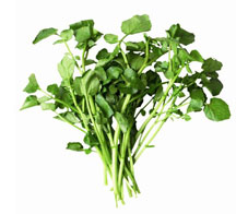 top-10-superfoods-watercress-NL
