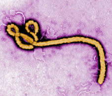 ebola-NL