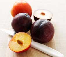 Plums-Newsletter