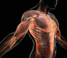 1-harness-the-power-of-your-muscle-matrix-NL