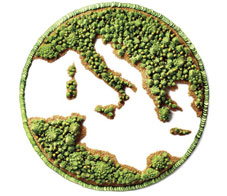 main-forecasting-2015-our-predictions-for-the-top-nutrition-trends_0-NL