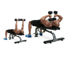 30-best-arm-exercises-main_0-NL