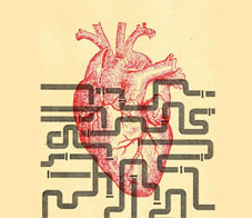 main-nine-ways-your-gut-can-help-protect-your-heart-NL