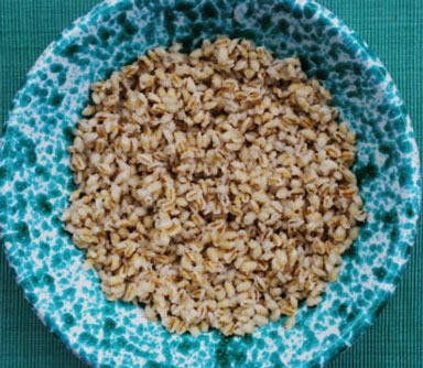 whole-barley-NL