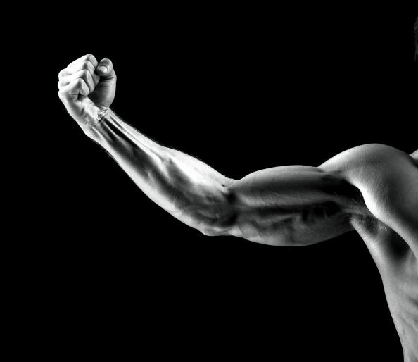 main-slow-vs.-fast-twitch-training.jpg