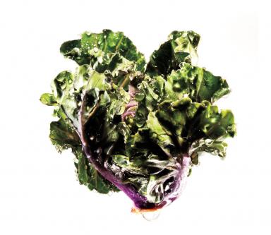 main-franken-kale-.jpg
