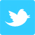big_social_twitter