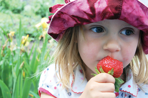 Berry-Picking