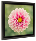 Framed