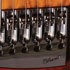 PGN_BassBench