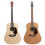 PGN_12-string-FEAT