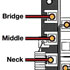 PGN_GuitarShop101