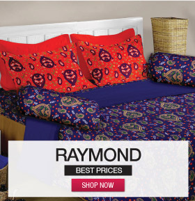 raymond best prices