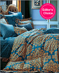 blue printed double bedsheet