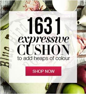 1613 expressive cushion