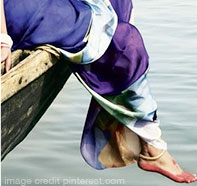 cotton sarees online