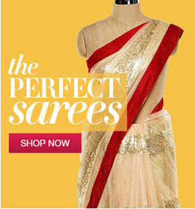 the perfect Saree