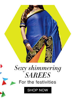 Sexy shimmering Sarees