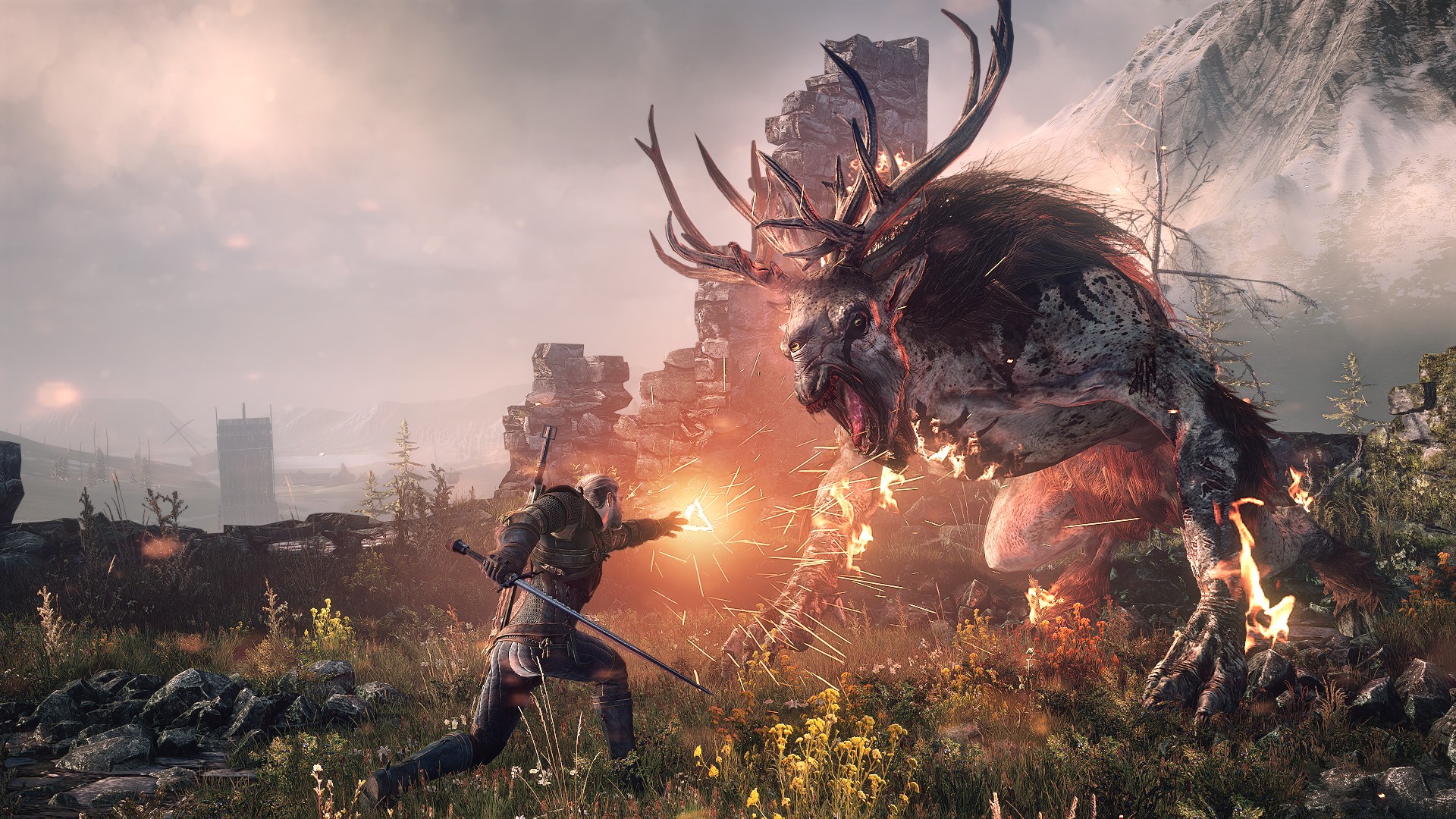 The Witcher 3. WBIE