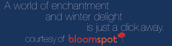 A world of enchantment and winter delight is just a click away. Courtesy of Bloomspot.
