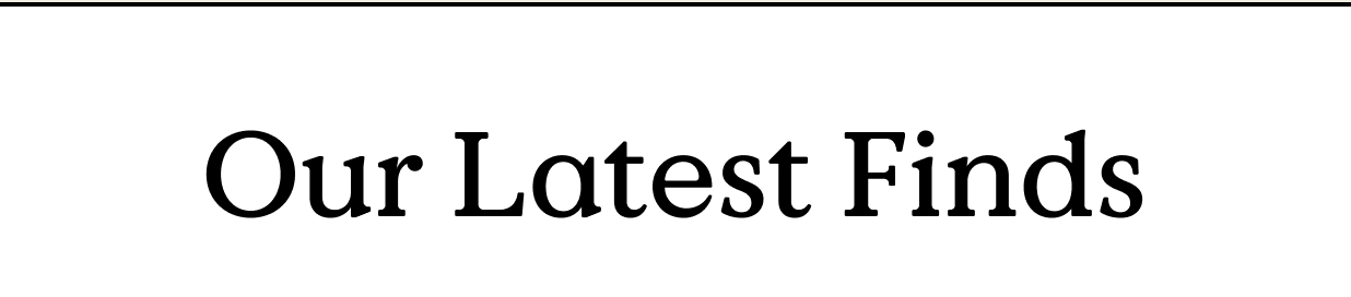 Quilted Liner Jacket