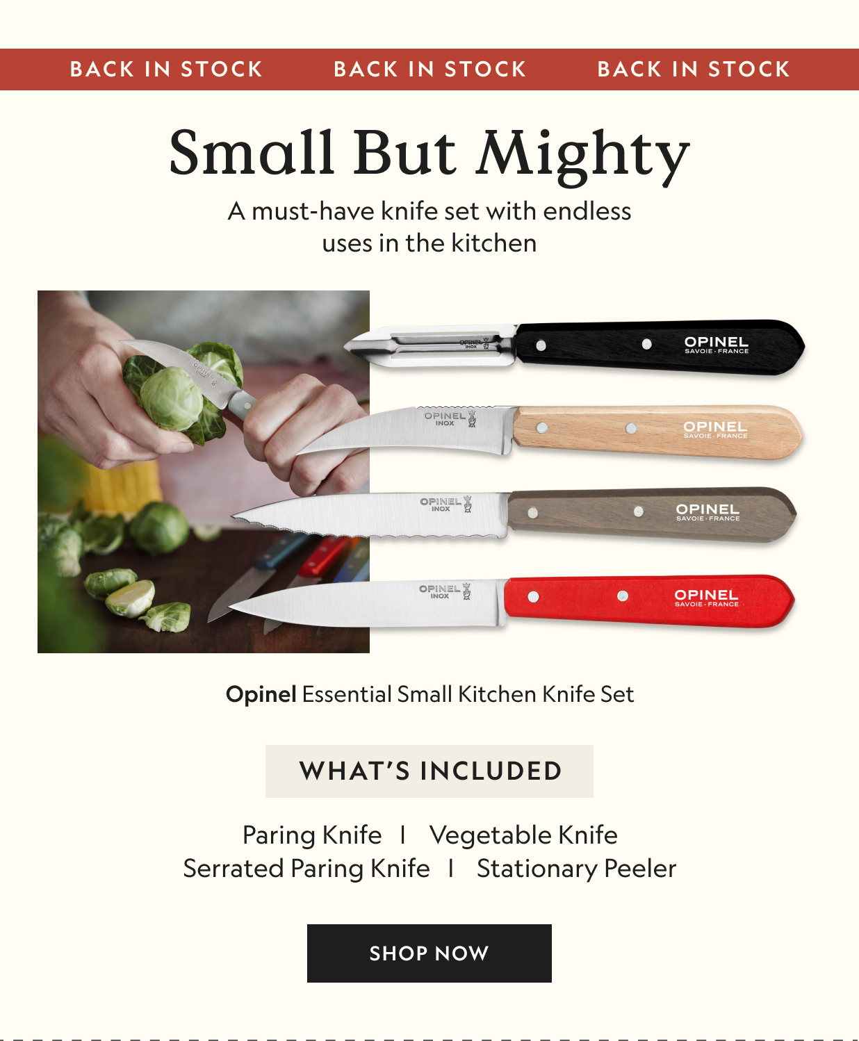 Essential Small Kitchen Knife Set