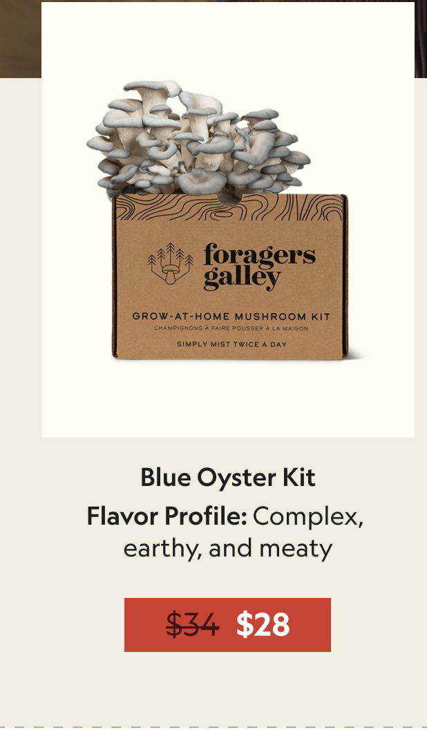 Blue Oyster Mushroom Grow Kit