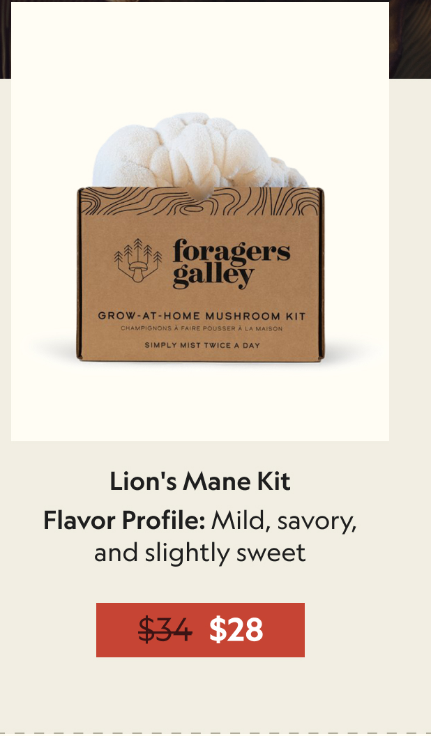 Lion's Mane Mushroom Grow Kit