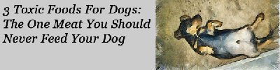 Sponsor Image