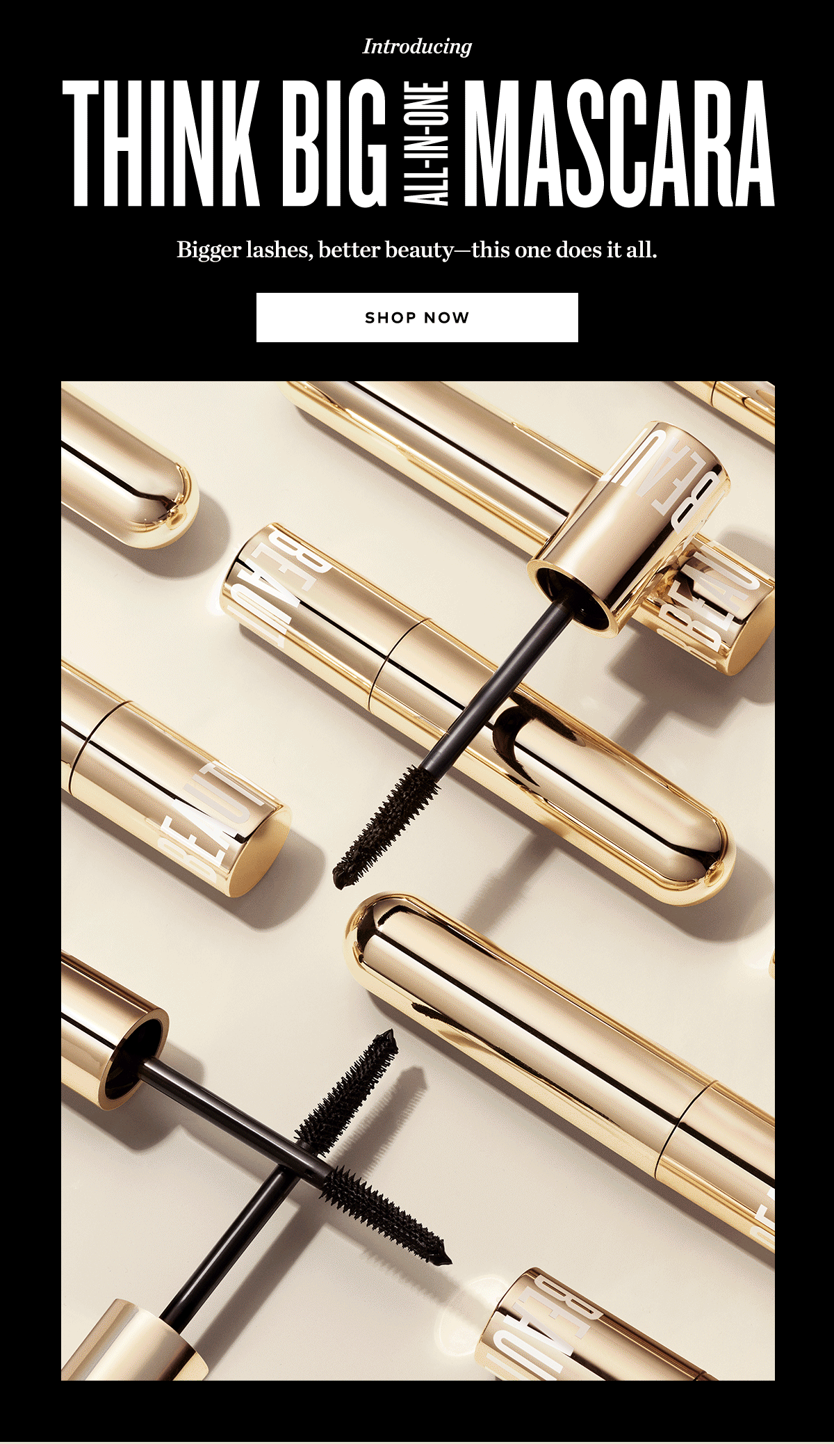 ALL-IN-ONE MASCARA
