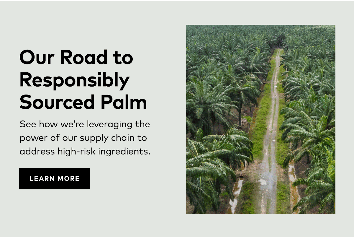 OUR ROAD TO RESPONSIBLY SOURCED PALM