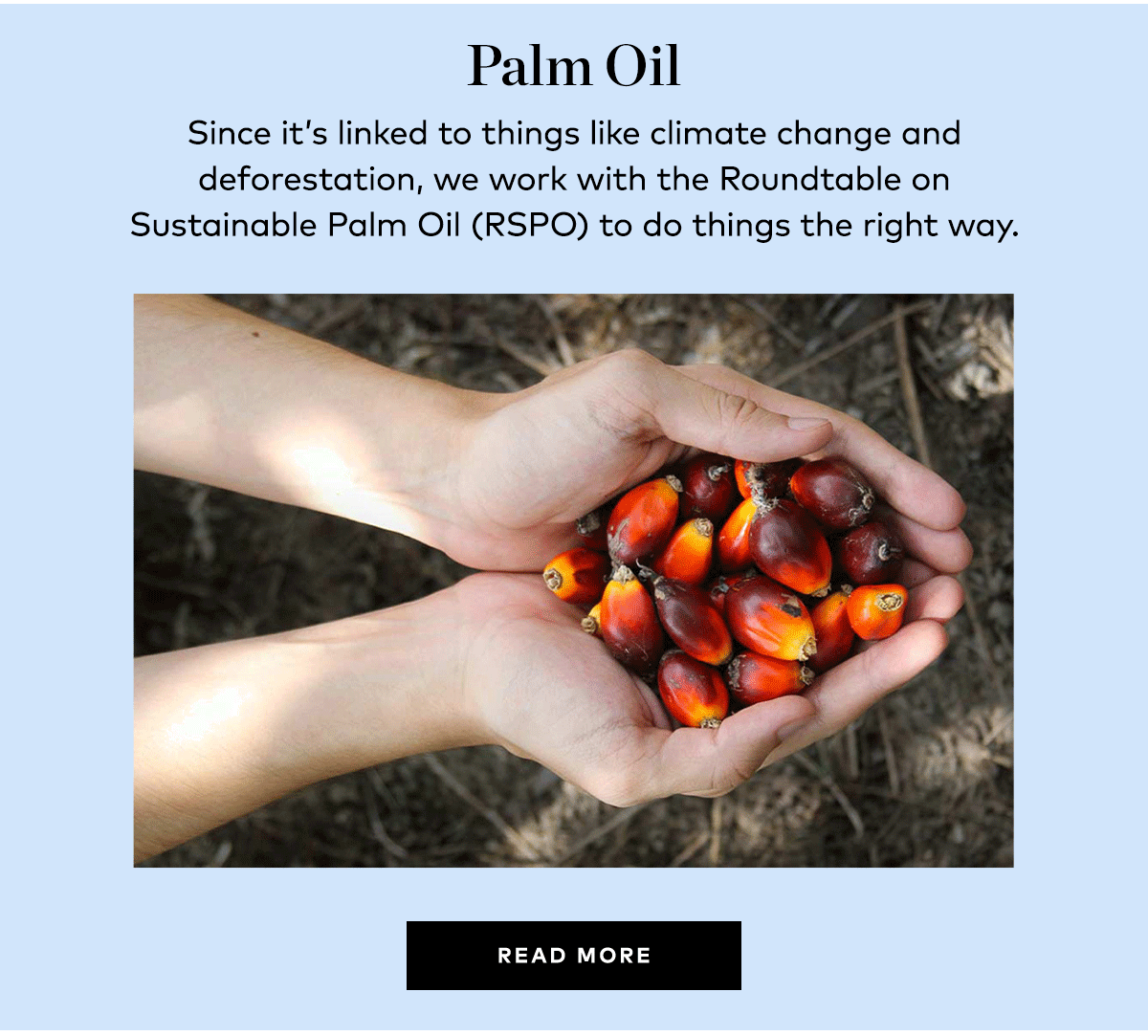 PALM OIL