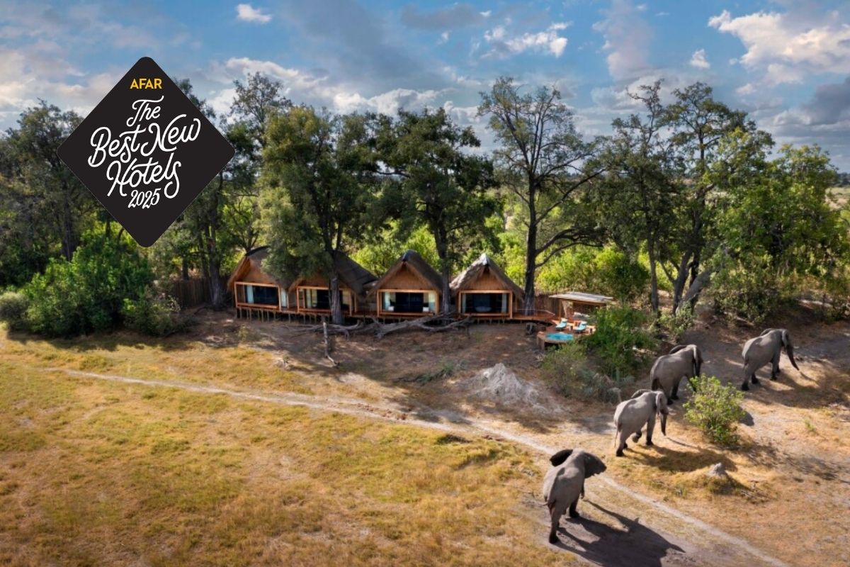 This Remote Camp in Botswana Is a Wildlife Lover’s Dream