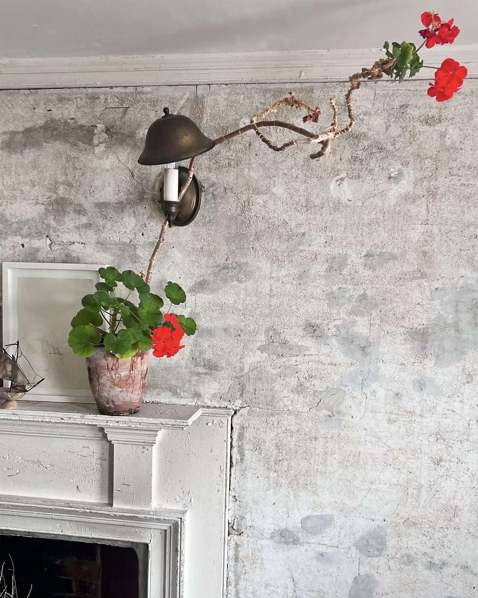 How Do You Design With Plants?