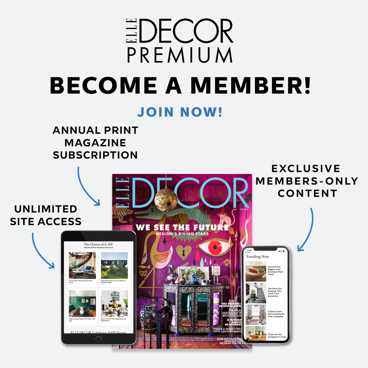 Elle Decor Premium
