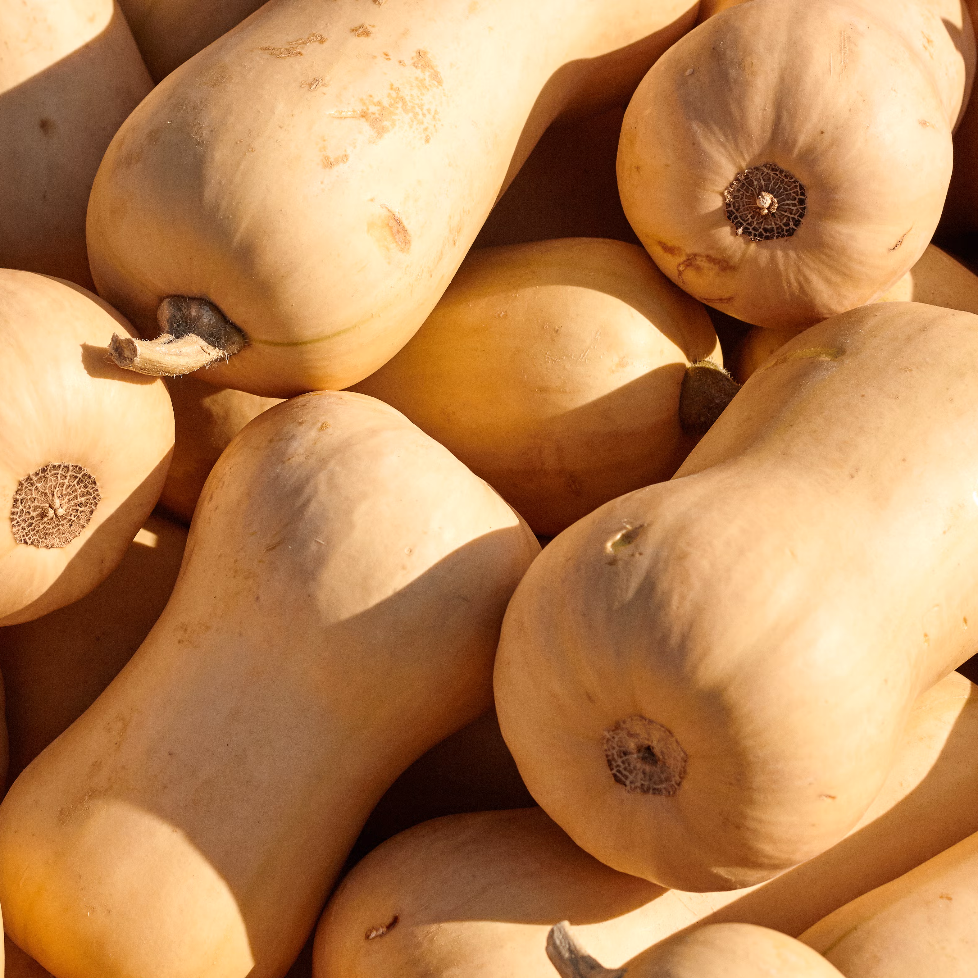 The Best Way To Peel & Cook Butternut Squash Is Easier Than You Think