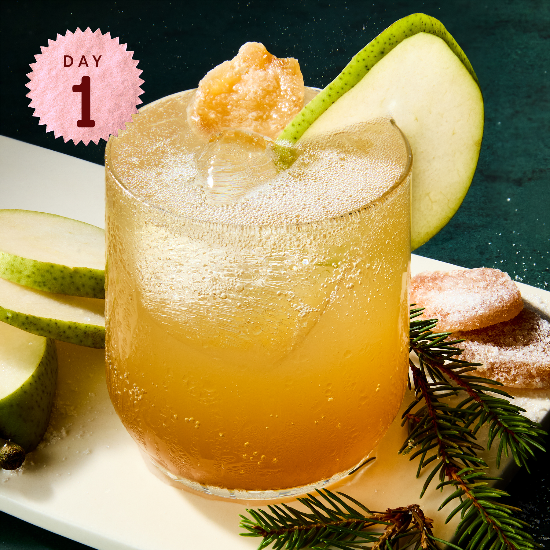 Partridge In A Pear Tree Partridge In A Pear Tree