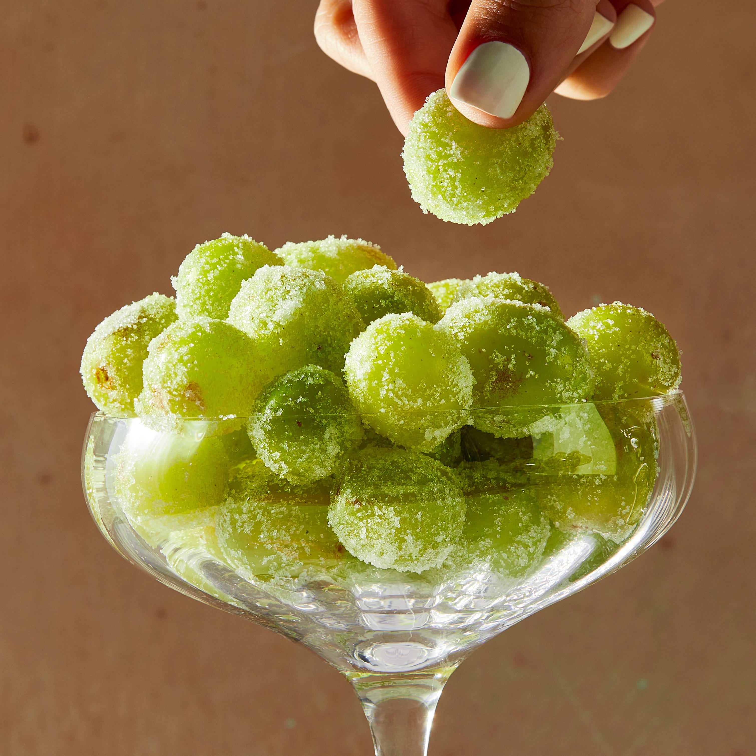 Prosecco Grapes