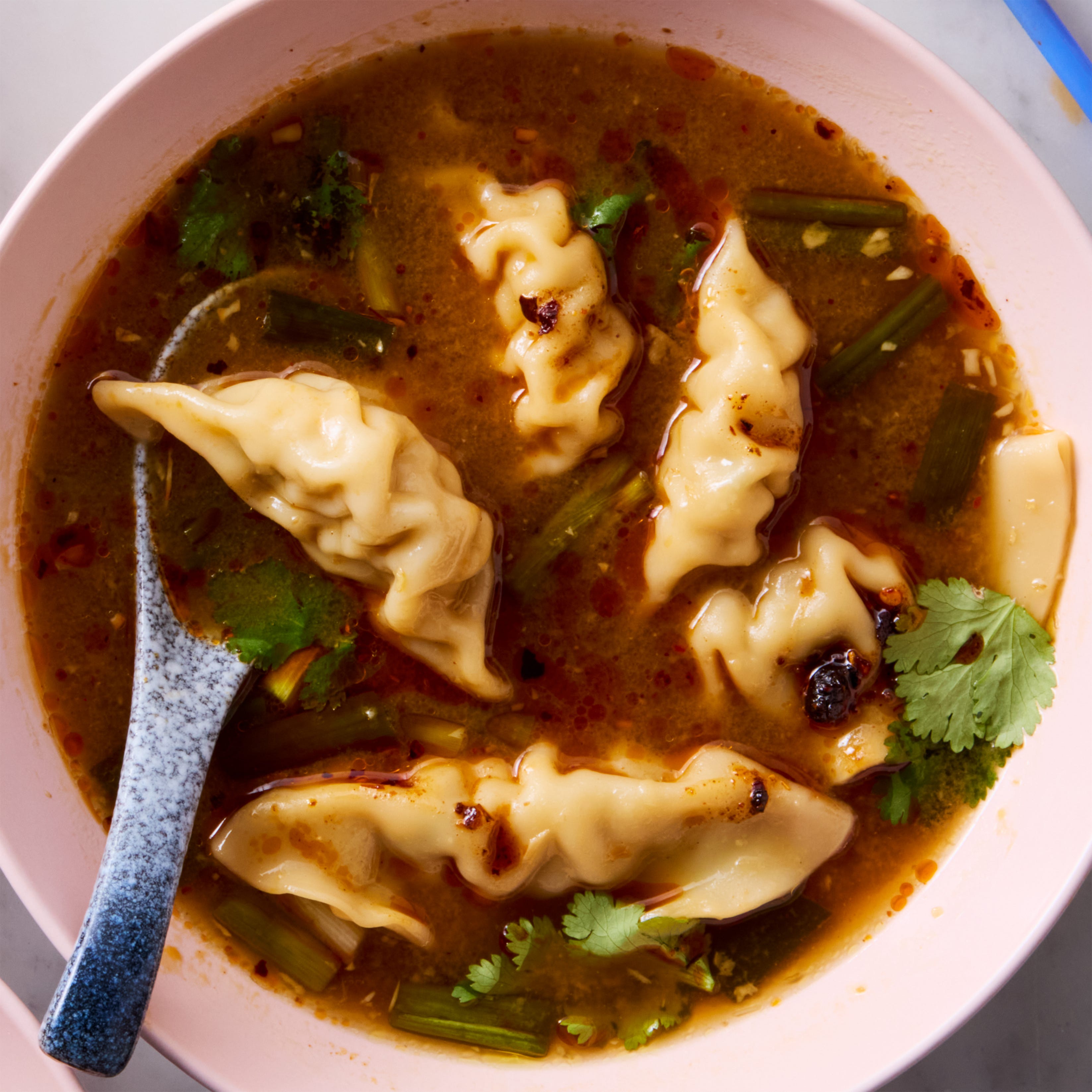 Pot Sticker Soup Pot Sticker Soup