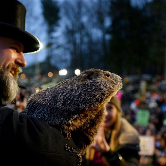 Experts Say Groundhogs Are Actually TERRIBLE at Predicting Weather