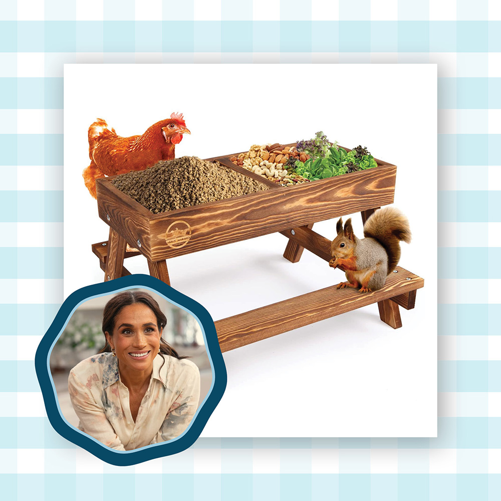 Meghan Markle's Chicken Feeder Is Surprisingly Chic—And Only $26