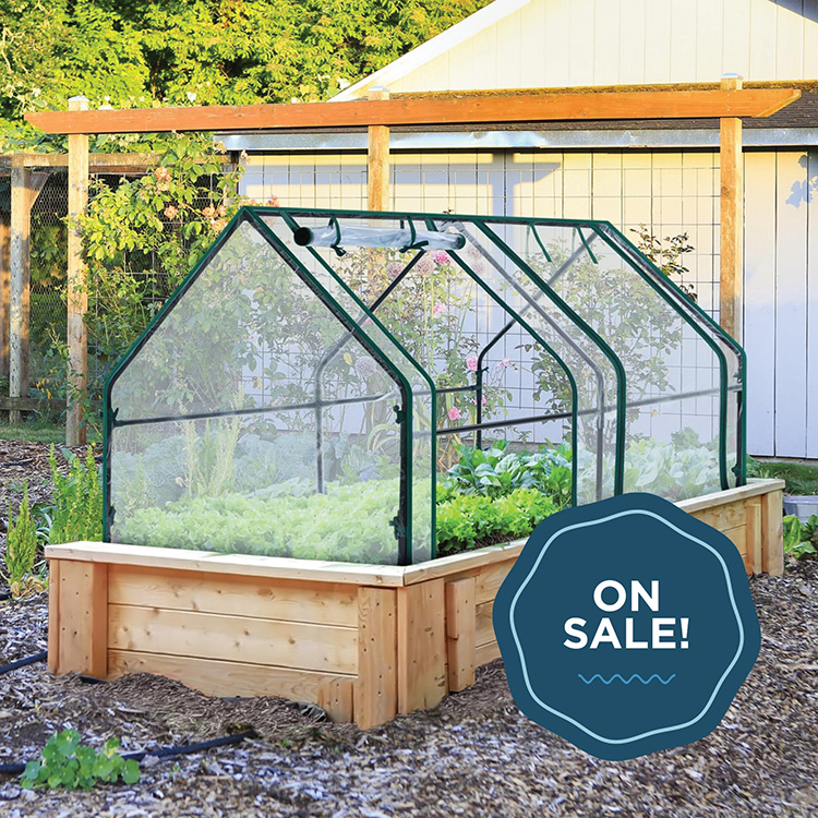Amazon Has Mini Greenhouses for as Low as $20 to Protect Your Plant Babies