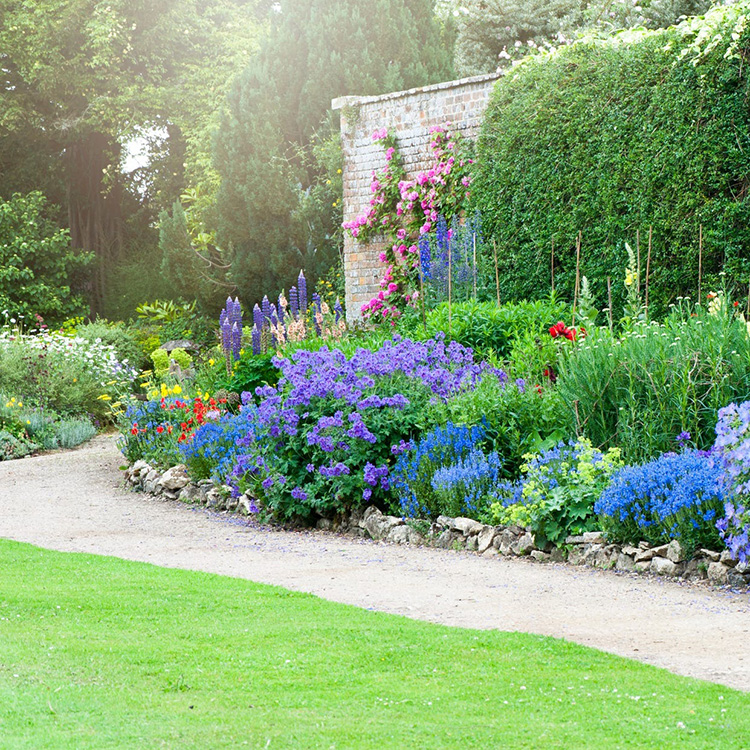 Whatever Your Budget, These Garden Edging Ideas Will Look Great