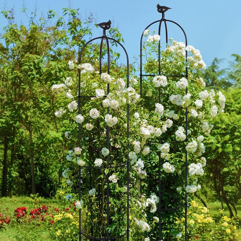 I Promise a Garden Trellis Will Add a Touch of Magic to Your Yard