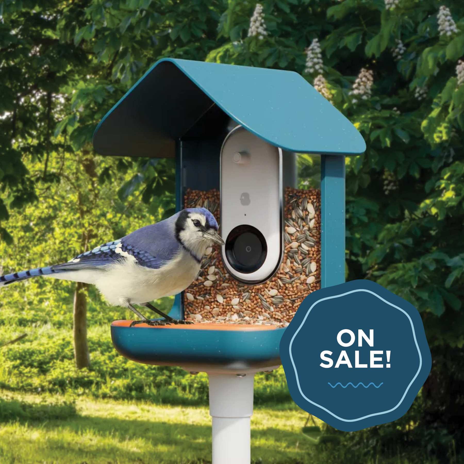5 Smart Bird Feeders on Sale Ahead of Mother's and Father's Day—and Graduation Season Too!