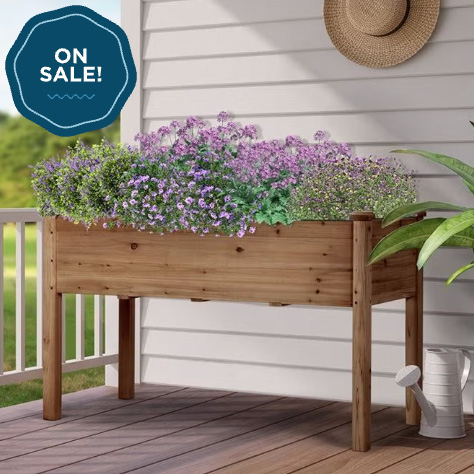 The Best Wayfair Early Summer Deals I'm Shopping as a Gardener
