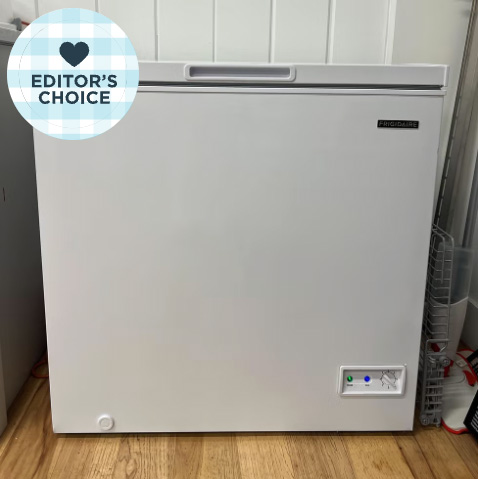Our Food Director Loves This Effective, Yet Affordable Mini Freezer