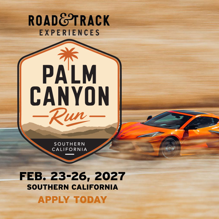 Palm Canyon Run