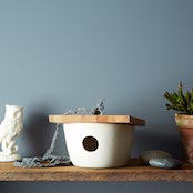 2014-0227_pigeon-toe_scan-birdhouse_mid-010